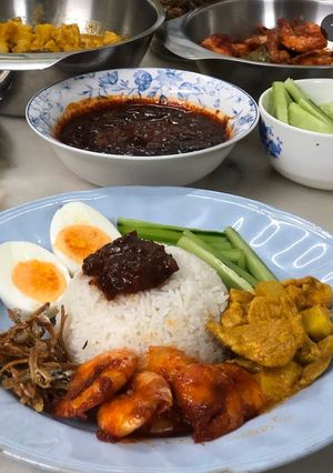 A picture of Nasi Lemak with Curry Chicken.