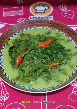 Foto resep Sayur Daun Pakis
