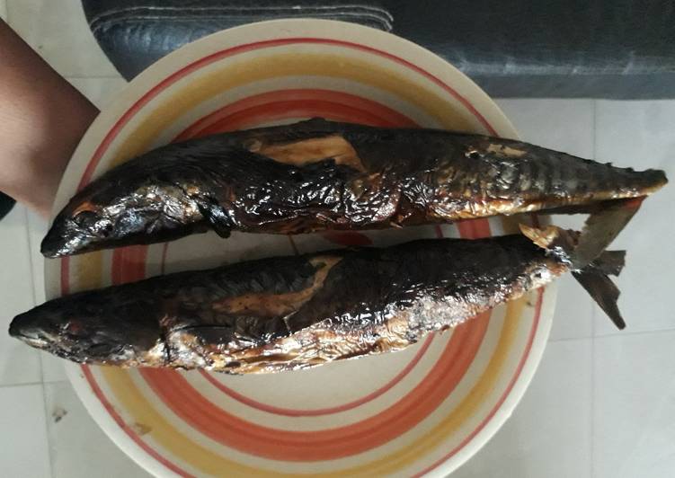 Easiest Way to Prepare Appetizing Grilled titus fish