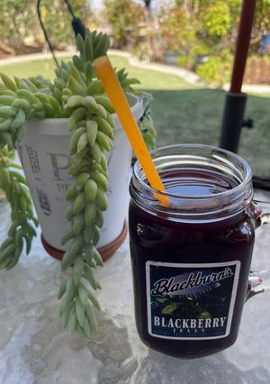 A picture of Elderberry Drink.
