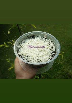 Foto resep Oreo Chesee Lumer