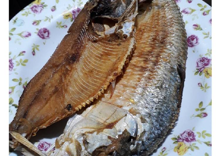 Ikan Terubok Masin