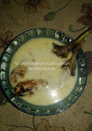 Foto resep Terong Babanam Kuah Santan (Parung Terong Khas Banjar)