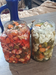 عکسی از دستور ترشی و شور