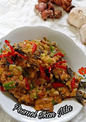 Foto resep 49. Pesmol Ikan Nila