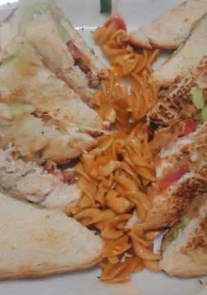 A picture of Shami sandwich.