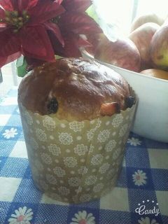 Una foto de PAN DULCE sin TACC #celíacos