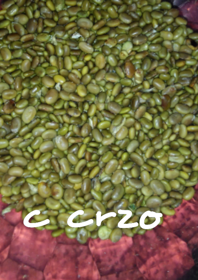Una foto de Mini judías con arroz