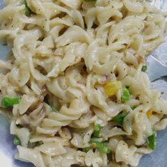 A picture of White sauce pasta.