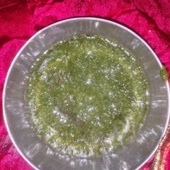 A picture of Green chutney.