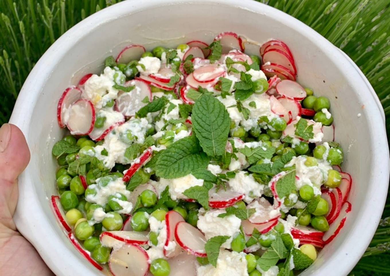 Recipe of Any-night-of-the-week Salade fraîche petits pois et radis