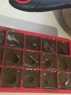 Una foto de Granizado de "wheatgrass", canela y frutas