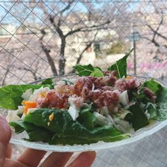 A picture of Sakura Salad (Cherry Blossom).