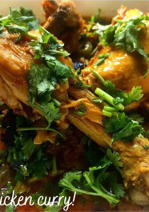 A picture of Chicken curry.