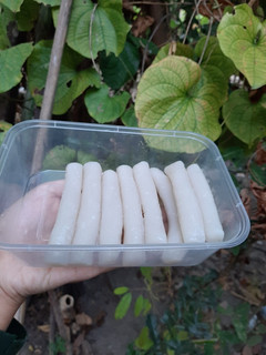 Foto resep Rice Cake (tteok)