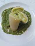 Paccheri su pesto di bucce, ripiene con crema di fave e taleggio