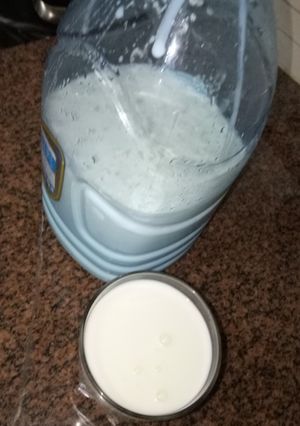 A picture of Home made plain yoghurt #charity support recipe.