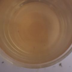 A picture of Keto Chamomile Tea with Sage.