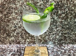 Una foto de Gin and tonic 🇬🇧