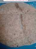 Pan integral