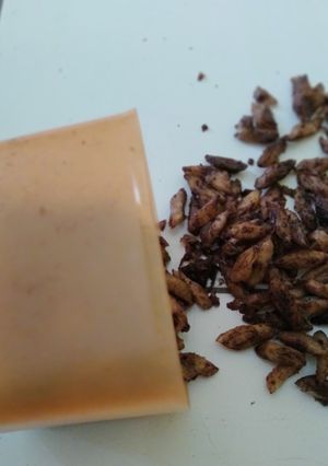 Foto resep Kripik kulit lumpia
