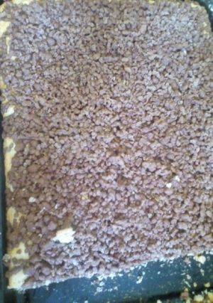 صورة لوصفة صب الرشراش