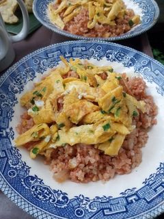 Foto resep Nasi Goreng telur dadar