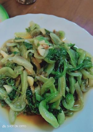 燙大陸妹 的食譜成品照片