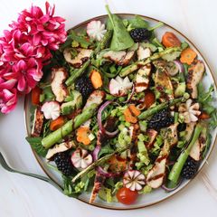 A picture of Spring time salad with harissa chicken.