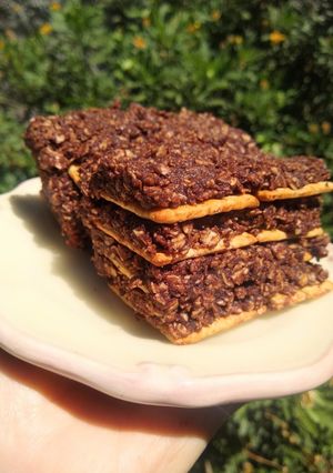 Una foto de Turrón de avena o quaker vegano