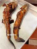 Lele Goreng Krispi
