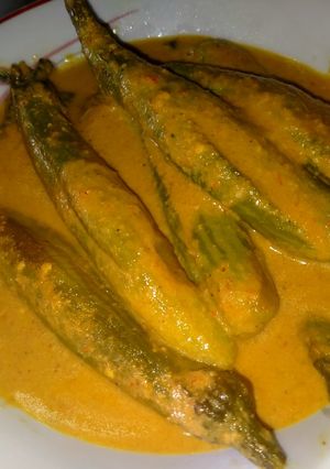 Foto resep Tumis terong santan