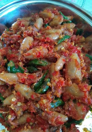 Foto resep "Sambal baby cumi asin cabai hijau"