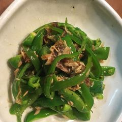 A picture of Japanese simple pepper salad you never can stop eating!.