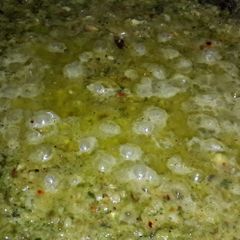 A picture of Shengdana lahsun chutney.