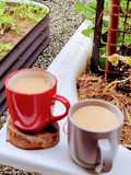 Masala chai tea (trà sữa thảo mộc Ấn Độ)