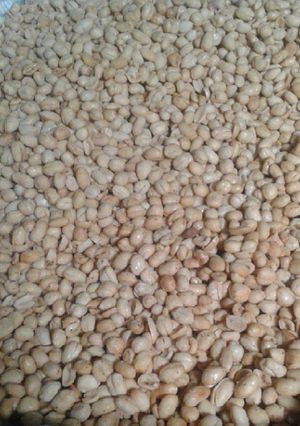 Foto resep Kacang tojin