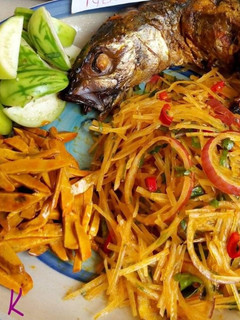 A picture of Abacha.