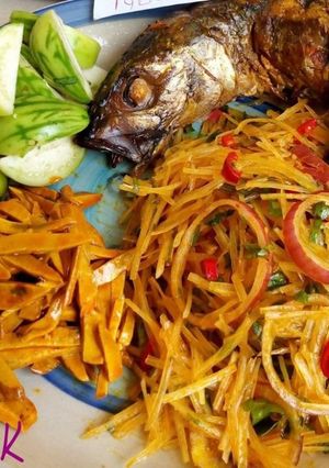 A picture of Abacha.