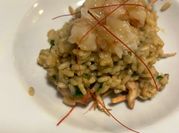 Una foto di scampi e gamberi
