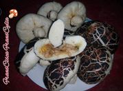 Gambar daging yis