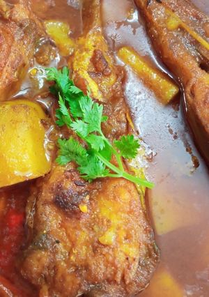 A picture of Jhal Chital fish                     .