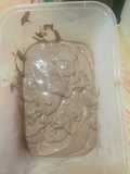 Whip cream (campuran2 metode)     berasa mousse coklat1