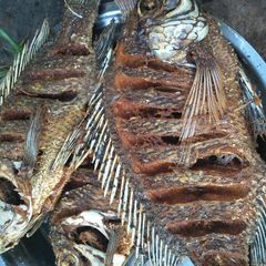 Fried tilapia fish A picture of Fried tilapia fish.