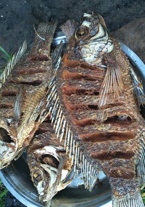 A picture of Fried tilapia fish.