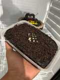 Brownies Chocolatos Kukus