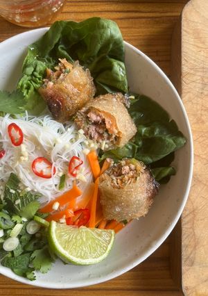 A picture of Vietnamese Spring Rolls.