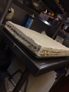 A picture of Tiramisu.
