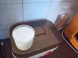 Yogur Natural