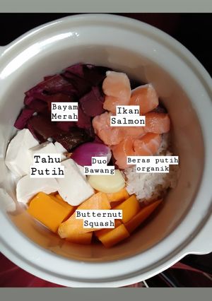 Foto resep MPASI 6 Bulan Ikan Salmon